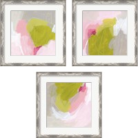 Framed 'Spring Swatch 3 Piece Framed Art Print Set' border=