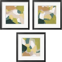 Framed Field Survey 3 Piece Framed Art Print Set
