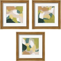 Framed Field Survey 3 Piece Framed Art Print Set