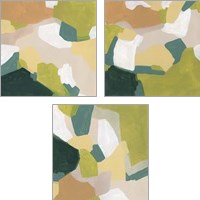 Framed 'Field Survey 3 Piece Art Print Set' border=
