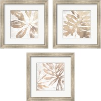 Framed Neutral Palm Fossil 3 Piece Framed Art Print Set
