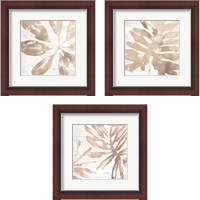 Framed 'Neutral Palm Fossil 3 Piece Framed Art Print Set' border=