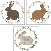 Framed Happy Bunny Day 3 Piece Art Print Set
