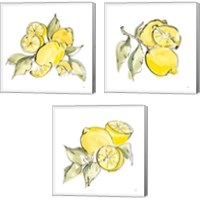 Framed 'Lemon Still Life 3 Piece Canvas Print Set' border=
