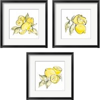 Framed Lemon Still Life 3 Piece Framed Art Print Set