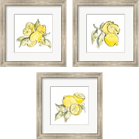 Framed 'Lemon Still Life 3 Piece Framed Art Print Set' border=