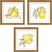 Framed 'Lemon Still Life 3 Piece Framed Art Print Set' border=