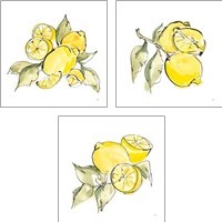 Framed 'Lemon Still Life 3 Piece Art Print Set' border=