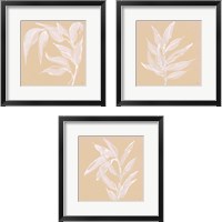 Framed 'Leaf Study 3 Piece Framed Art Print Set' border=