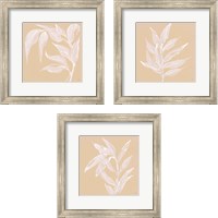 Framed 'Leaf Study 3 Piece Framed Art Print Set' border=