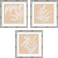 Framed 'Leaf Study 3 Piece Framed Art Print Set' border=