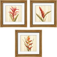 Framed 'Tropical Garden 3 Piece Framed Art Print Set' border=