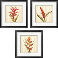 Framed 'Tropical Garden 3 Piece Framed Art Print Set' border=