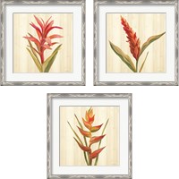 Framed 'Tropical Garden 3 Piece Framed Art Print Set' border=