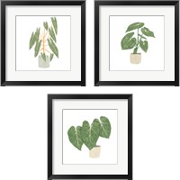 Framed 'Philodendron Billietiae 3 Piece Framed Art Print Set' border=