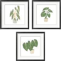 Framed 'Philodendron Billietiae 3 Piece Framed Art Print Set' border=