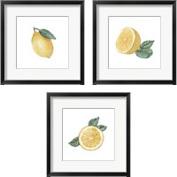 Framed 'Citrus Limon 3 Piece Framed Art Print Set' border=