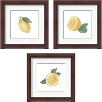 Framed Citrus Limon 3 Piece Framed Art Print Set