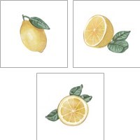 Framed 'Citrus Limon 3 Piece Art Print Set' border=