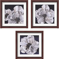 Framed 'Blue & White Floral 3 Piece Framed Art Print Set' border=