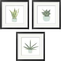 Framed 'Snake Plant 3 Piece Framed Art Print Set' border=