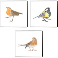 Framed 'Songbird 3 Piece Canvas Print Set' border=