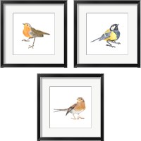 Framed 'Songbird 3 Piece Framed Art Print Set' border=