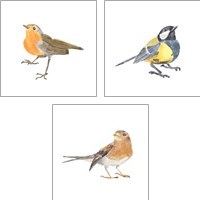 Framed 'Songbird 3 Piece Art Print Set' border=