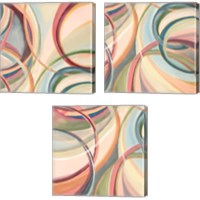 Framed Overlapping Rings 3 Piece Canvas Print Set