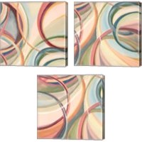 Framed 'Overlapping Rings 3 Piece Canvas Print Set' border=