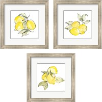 Framed 'Lemons 3 Piece Framed Art Print Set' border=