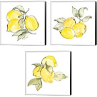 Framed 'Lemons 3 Piece Canvas Print Set' border=