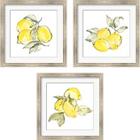 Framed 'Lemons 3 Piece Framed Art Print Set' border=