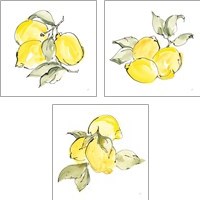 Framed 'Lemons 3 Piece Art Print Set' border=