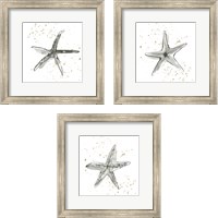 Framed Starfish  3 Piece Framed Art Print Set