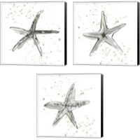 Framed Starfish  3 Piece Canvas Print Set