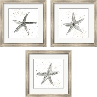 Framed 'Starfish  3 Piece Framed Art Print Set' border=