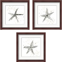 Framed Starfish  3 Piece Framed Art Print Set