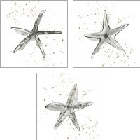 Framed 'Starfish  3 Piece Art Print Set' border=
