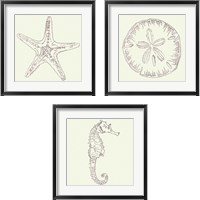 Framed 'Coastal Breeze Sketches Silver 3 Piece Framed Art Print Set' border=