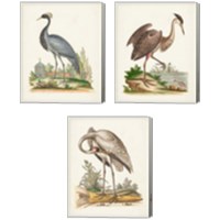 Framed Antique Heron & Cranes 3 Piece Canvas Print Set