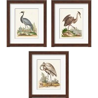 Framed 'Antique Heron & Cranes 3 Piece Framed Art Print Set' border=