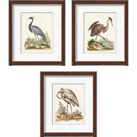 Framed Antique Heron & Cranes 3 Piece Framed Art Print Set