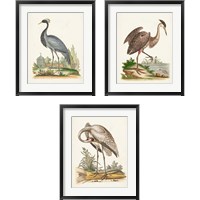 Framed 'Antique Heron & Cranes 3 Piece Framed Art Print Set' border=