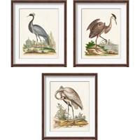 Framed Antique Heron & Cranes 3 Piece Framed Art Print Set