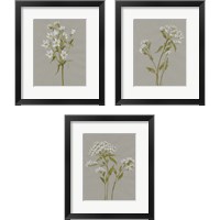 Framed 'White Field Flowers 3 Piece Framed Art Print Set' border=