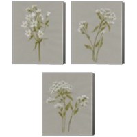 Framed 'White Field Flowers 3 Piece Canvas Print Set' border=