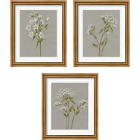 Framed 'White Field Flowers 3 Piece Framed Art Print Set' border=