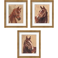 Framed 'Thoroughbred 3 Piece Framed Art Print Set' border=