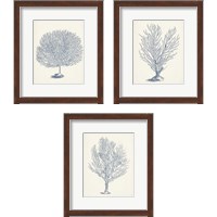 Framed 'Antique Coral Collection 3 Piece Framed Art Print Set' border=